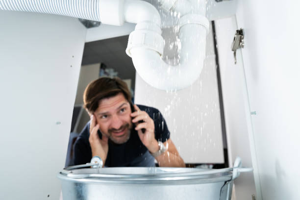 Best Local Plumber Services  in Ballwin, MO